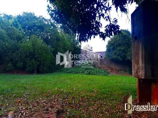 Vista externa de um jardim com grama verde e árvores.