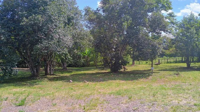 Terreno, foto 2
