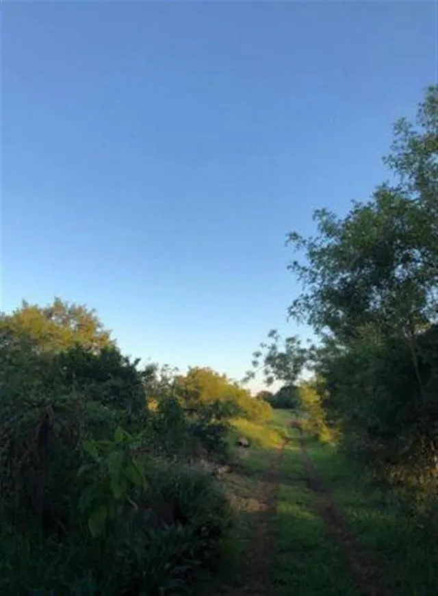 Terreno, foto 5