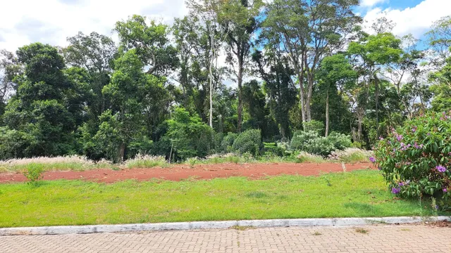 Terreno, foto 2