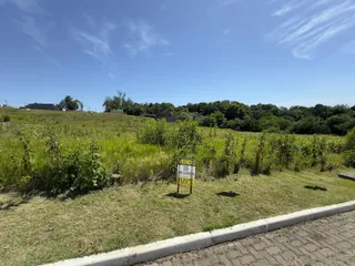 Vista externa de uma área de campo com vegetação e árvores sob um céu azul.
