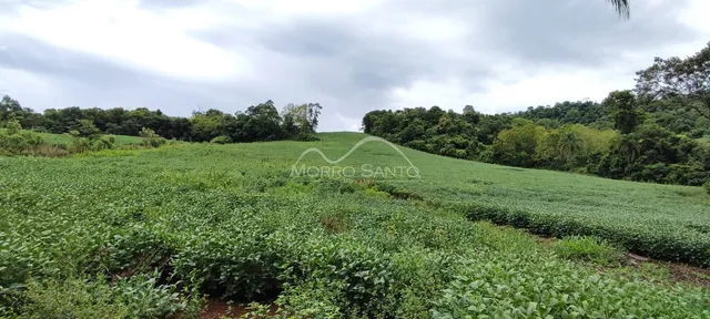 Paisagem de colinas verdes com plantações no campo.