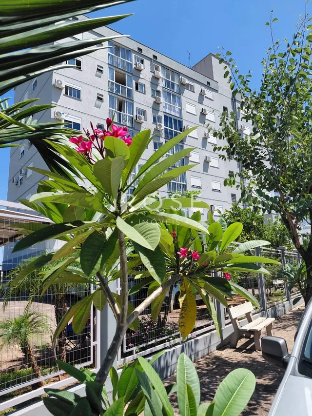 Apartamento com 2 dormitórios, foto 3