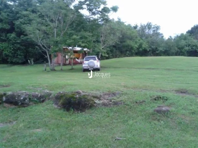 Campo gramado com árvores ao fundo