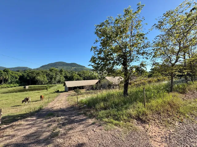 Área rural com 2 dormitórios, foto 5