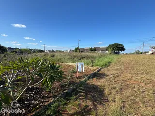 Paisagem de terra seca com vegetação rasteira em Lajeado.