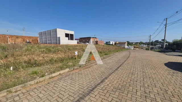Terreno, foto 2