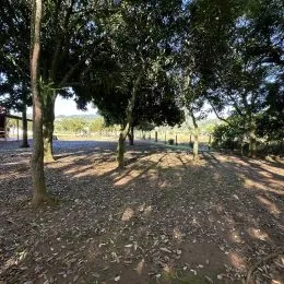 Vista externa de uma área com árvores e solo no imóvel.