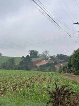 Área rural, foto 8