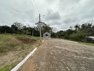 Uma estrada pavimentada leva a uma área com vegetação densa ao lado.