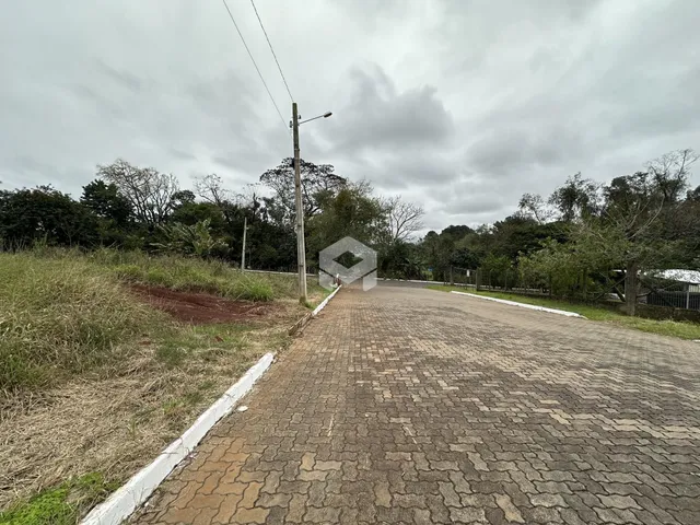 Uma estrada pavimentada leva a uma área com vegetação densa ao lado.