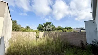 Parede de alvenaria com vegetação alta na frente.