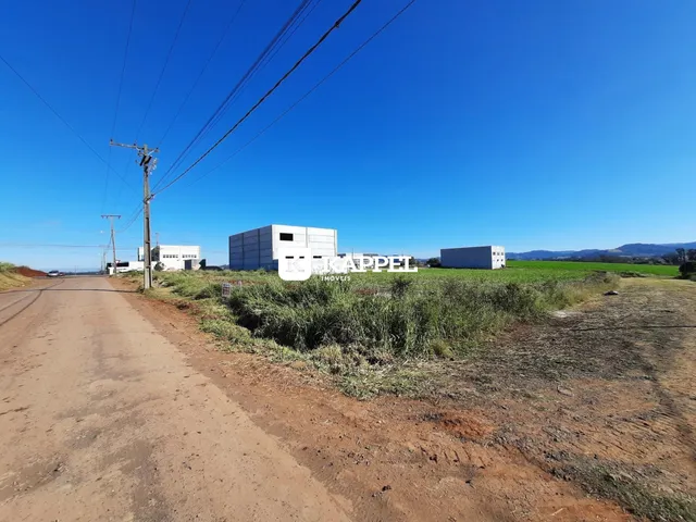 Vista externa de uma propriedade rural com vegetação seca e edifícios no fundo.