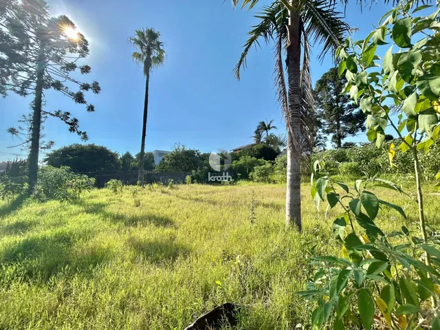 Terreno, foto 4