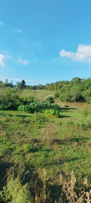 Vista de um campo aberto com vegetação e árvores ao fundo.