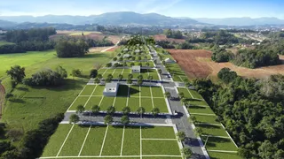 Vista aérea de um empreendimento residencial com casas dispostas em um terreno verde.