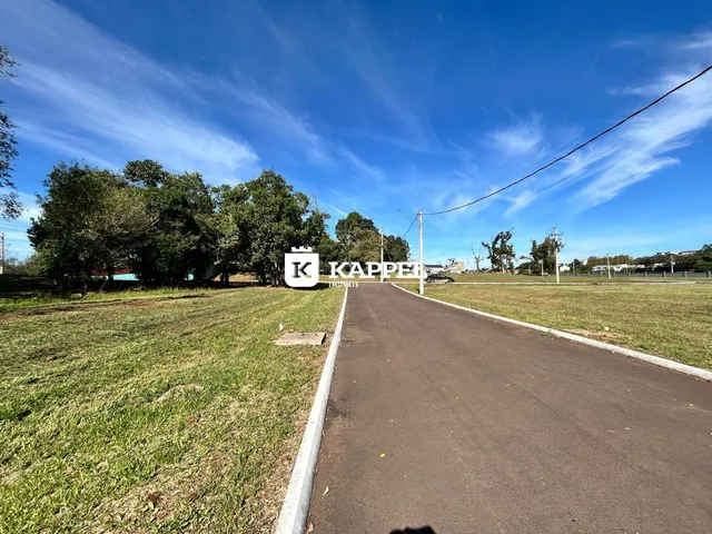 Vista externa da rua de acesso com gramado e árvores ao fundo.