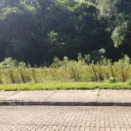 Terreno, foto 2