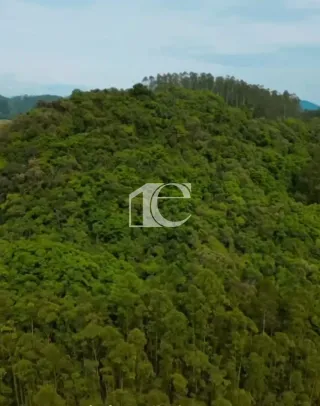 Área rural com 3 dormitórios, foto 14