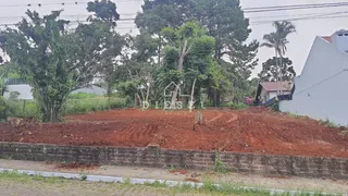 Terreno, foto 3