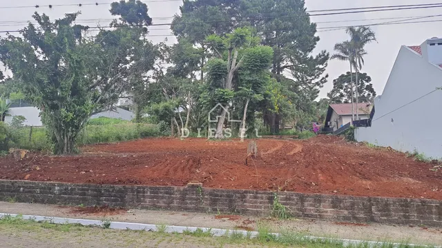 Terreno, foto 3
