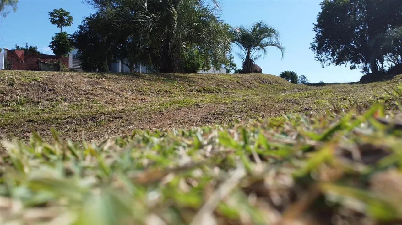 Terreno, foto 1