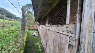 Casa com 5 dormitórios, foto 35