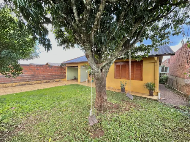 Vista externa de uma propriedade com gramado e uma grande árvore no centro.