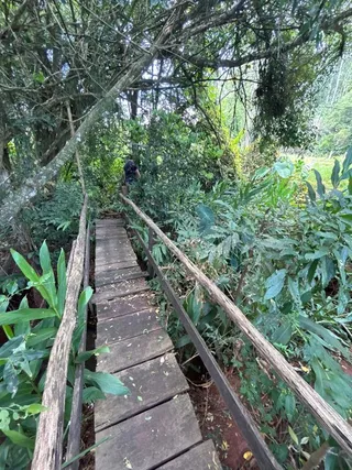 Área rural com 2 dormitórios, foto 6