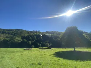 Campo verde com árvores ao fundo sob um céu azul.