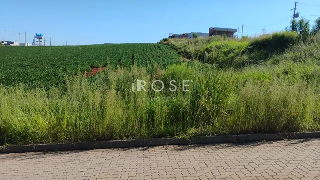 Paisagem de campo com vegetação alta e um campo de cultivo ao fundo.