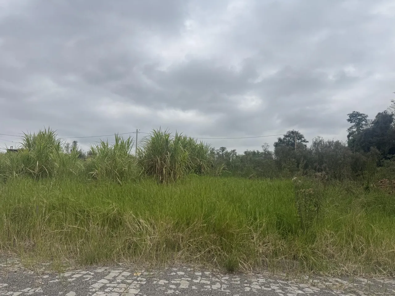 Terreno, foto 1