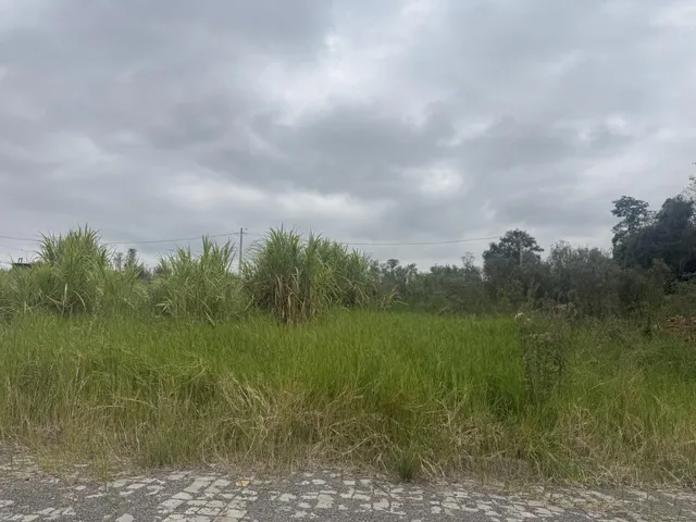 Terreno