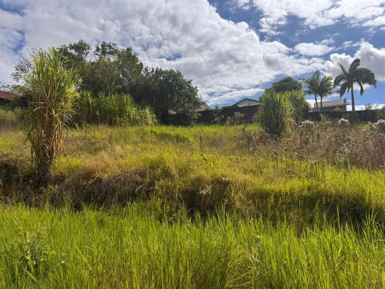 Terreno, foto 1