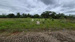 Campo gramado com vegetação e árvores ao fundo.