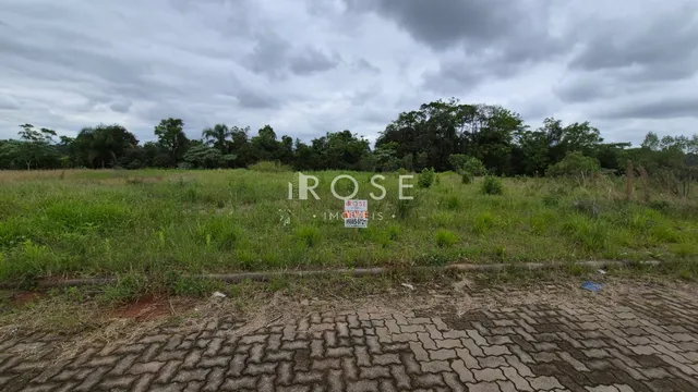 Campo gramado com vegetação e árvores ao fundo.