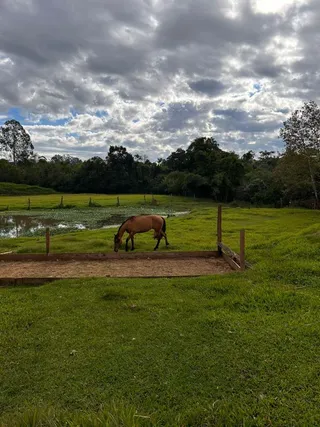 Área rural, foto 14