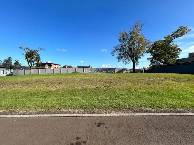Vista externa de um gramado com árvores sob um céu azul.