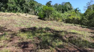 Área rural, foto 1