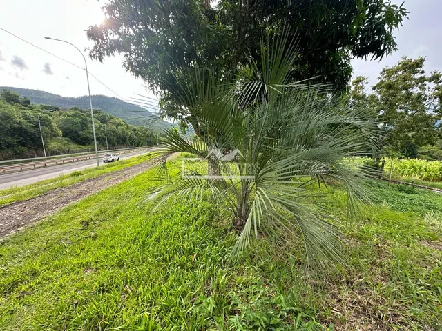 Terreno, foto 5