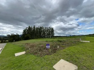 Terreno, foto 3