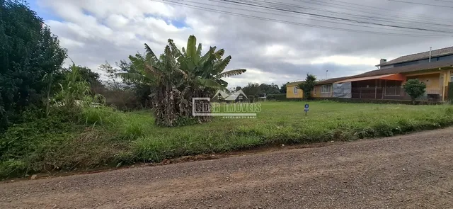 Terreno, foto 3