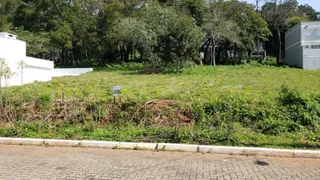 Foto de uma área de terreno com vegetação rasteira e árvores no fundo.