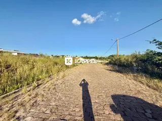 Uma foto de um caminho de terra com vegetação alta sob um céu azul.