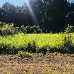 Terreno, foto 3
