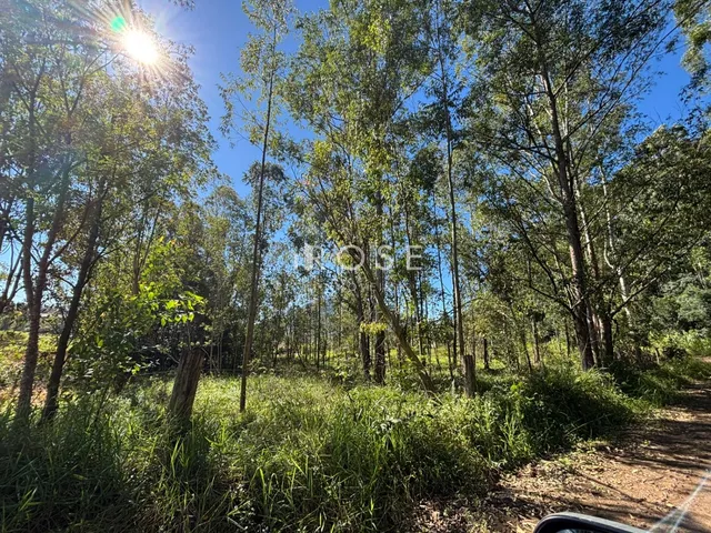 Área rural, foto 3