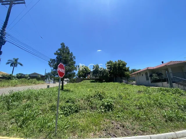 Terreno, foto 3