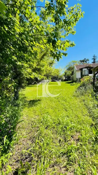 Terreno, foto 17