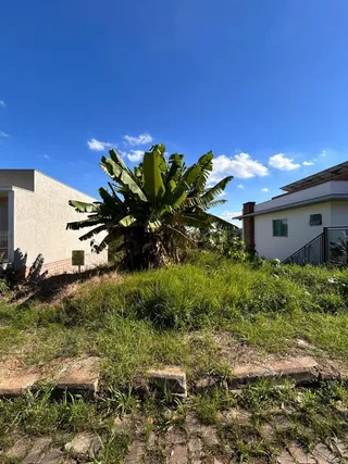 Terreno, foto 3