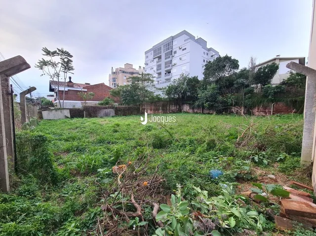 Área externa com vegetação densa em frente a um prédio.